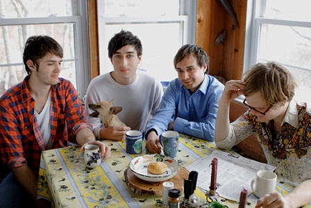 © grizzly bear grizzly bear
