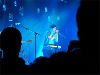© fm4 ond grizzly bear