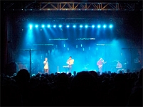 © fm4 ond grizzly bear