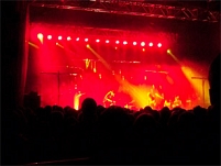 © fm4 ondrusova grizzly bear