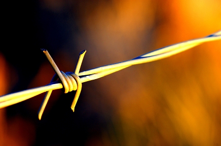 © http://www.flickr.com/photos/theilr/ Stacheldraht
