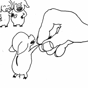 © davidkellner die pfote vom schwein wird gedrückt