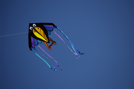 © alexander niederecker flugdrache in vogelform