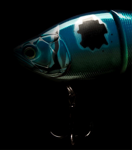 © wavesvienna.com Fisch mit Haken