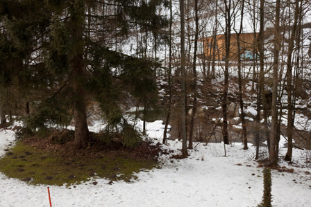 kahle Bäume, dahinter ist ein Bach zu erkennen.