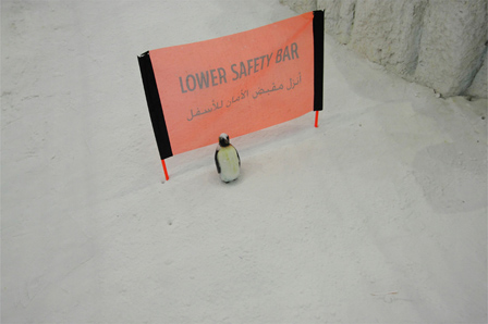 © Flo Rainer Sicherheitsanweisung "lower safety bar" auf englisch und arabisch, mit kleinem Pinguin davor