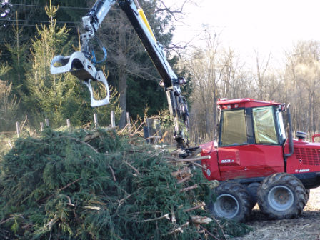 ein harvester bei der arbeit.