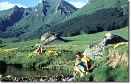 Die vulkanischen Berge und grünen Matten der Auvergne.