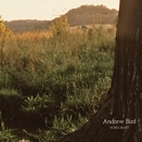 Albumcover: Noble Beast