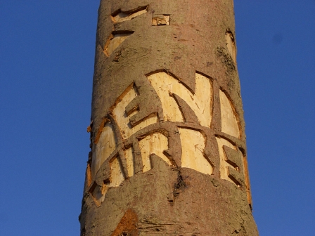 Wort Lendwirbel eingeritzt in Baumstamm