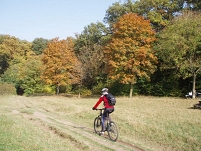 autumn biking