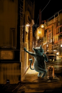 © Xoan Baltar