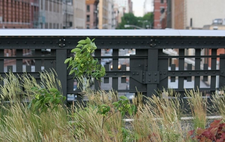 High Line, New York