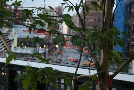 High Line, New York