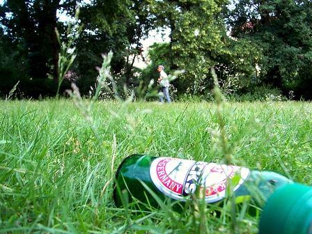 Eine Bierflasche im Gras.