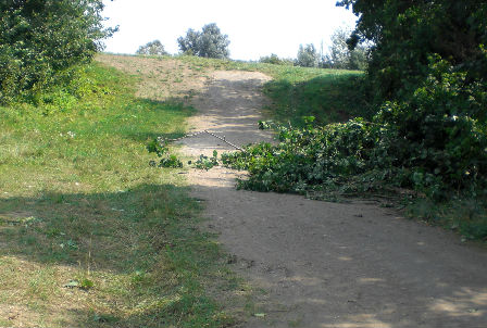 Ein Feldweg mit heruntergefallenem Ast.