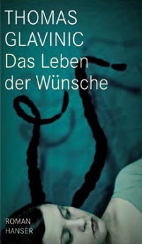 das cover des romans "das leben der wünsche", auf dem eine frau mit zwei zöpfen zu sehen ist