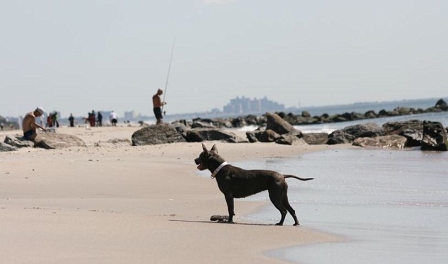 Fort Tilden Beach, New York, Queens