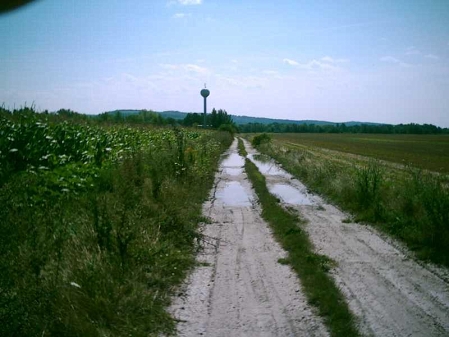 feldweg mit wiesenrand