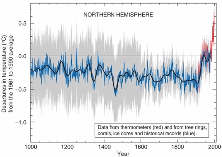 Die sogenannte Hockey-Stick Kurve zum Temperaturverlauf.