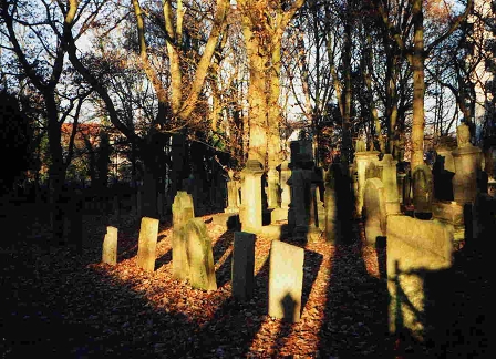 Friedhof