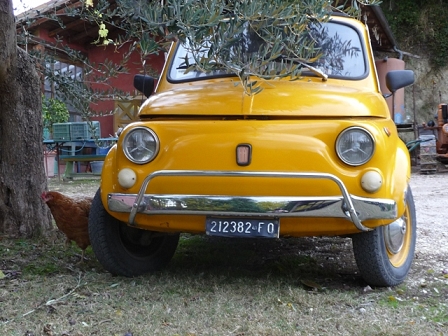 Yellow cinquecento