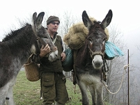 phelan and donkeys