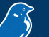 Gezeichneter, blauer Vogel, Logo des Blue Bird Festivals