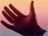 yeasayer