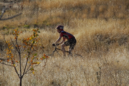 Biking through the Sierra Nevada