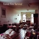 Zimmer mit Schlagzeug, Verstärkern und anderem Musikequpment, Plattencover von Forest Fire - "Survival"