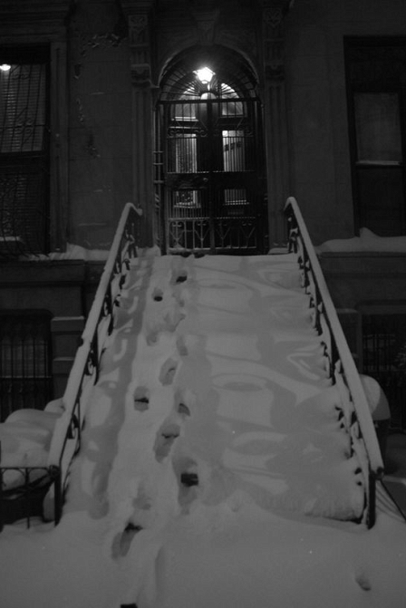 Brooklyn Snow