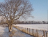 Baum, Winterlandschaft