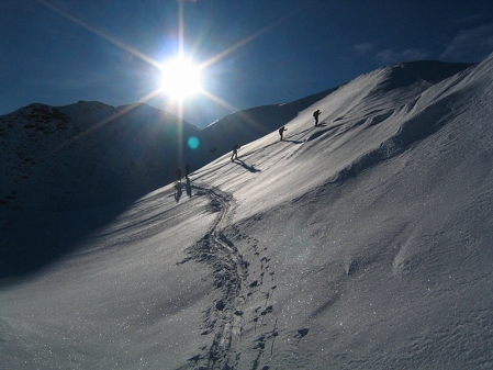 Glitzerndes Schneefeld im Gegenlicht