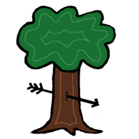 baum