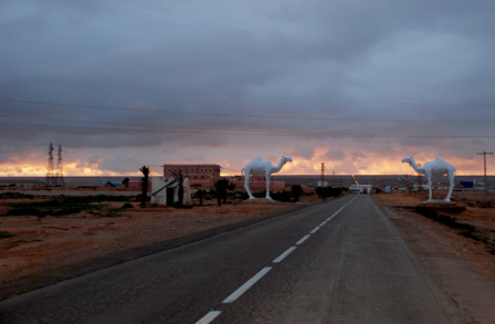 Straße in der Westsahara, links und rechts Kamele aus Stein