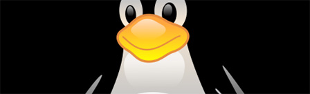 Ausschnitt des Linux-Logos "Tux".