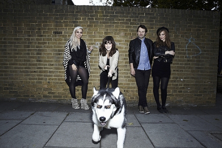 New Young Pony Club Bandfoto mit Hund