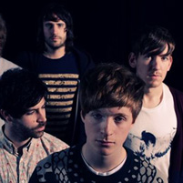 Foals