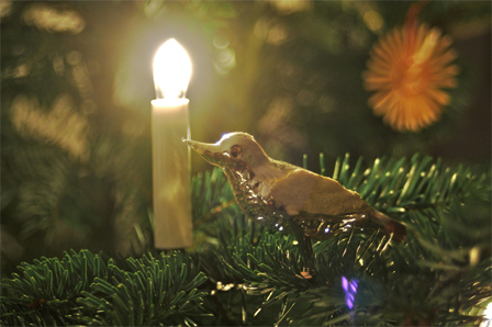 mein Lieblings-Baumschmuck ein kleiner silberner Vogel. Woher wir ihn haben, kann ich gar nicht genaus sagen, aber er gehört einfach an unseren Familien-Weihnachtsbaum 