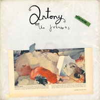 Cover von Swanlights, der neuen CD von Antony and the Johnsons mit dem Bild eines geschlachteten Eisbären