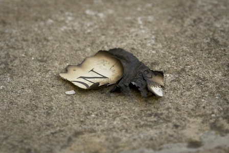 © flickr.com/ghazzog Ein Stück verbrannte Zeitung, nur wenig hat das Feuer übrig gelassen.