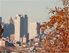 Bäume mit Herbstlaub, im Hintergrund Wolkenkratzer in New York