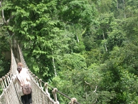 forests in Ghana