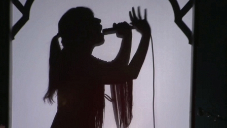 Silhouette von Musikerin Feist