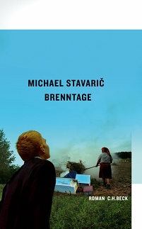 Buchcover "Brenntage" von Michael Stavaric: Möbel, die im Wald verbrannt werden