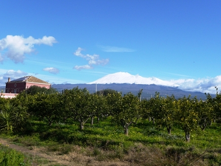 a farm in sicily