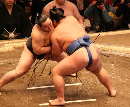 Sumo Ringer