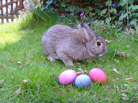 Hase mit Ostereiern