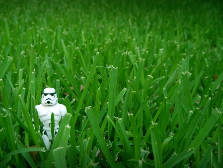 StarWars Figur im Gras